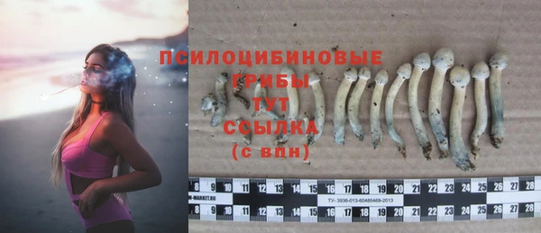 дурь Белокуриха