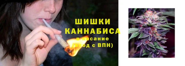 дурь Белокуриха