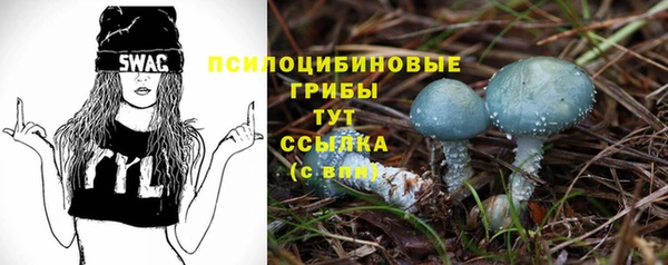 эйфоретик Хадыженск