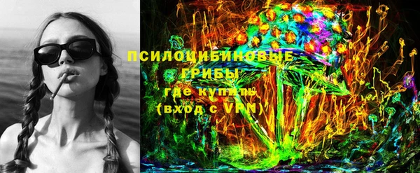 дурь Белокуриха