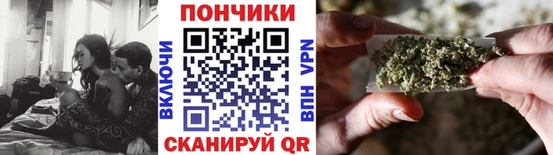 Марихуана сатива  наркота  Шиханы 